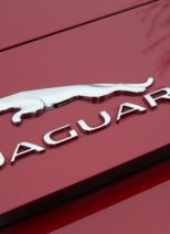 european auto specialists jaguar logo